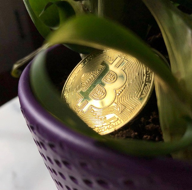 트럼프,암호화폐벤처,비트코인,ETF,시장불안,미국정치
(코인태그:Bitcoin,Ethereum,Ripple)