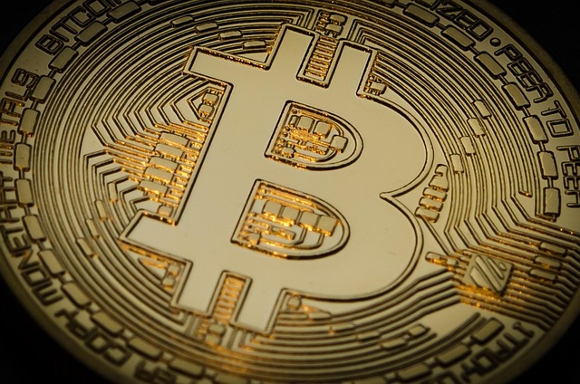 Circle,IPO,암호화폐,Coinbase,Fold,eToro