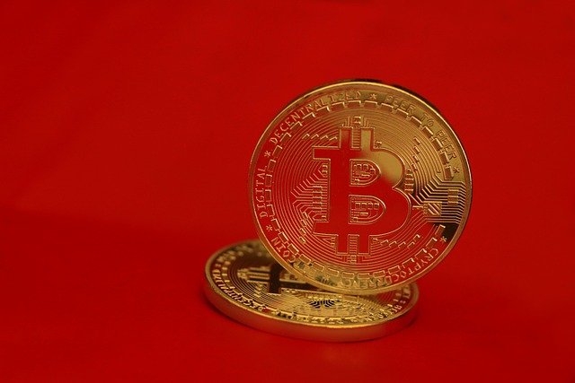 도지코인,XRP,솔라나,ETF,암호화폐,승인,시장변화