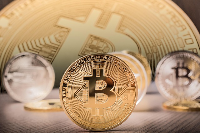 프리세일,SnorterBot,TOKEN6900,BitcoinHyper