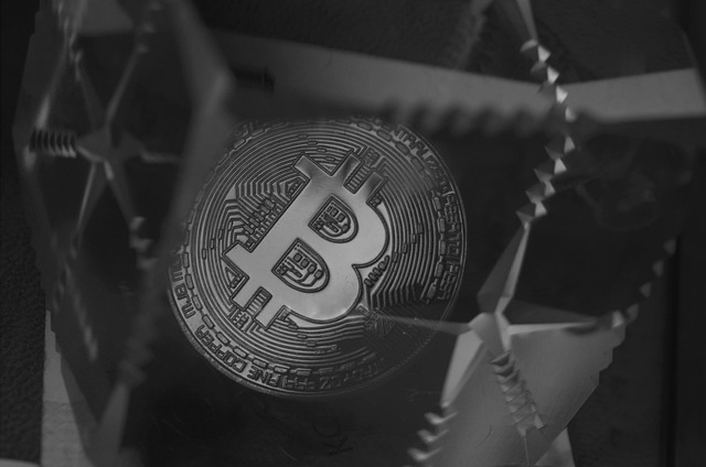 MutuumFinance(MUTM),Solana(SOL),DeFi,스마트계약,블록체인,투자,성장,기술적측면