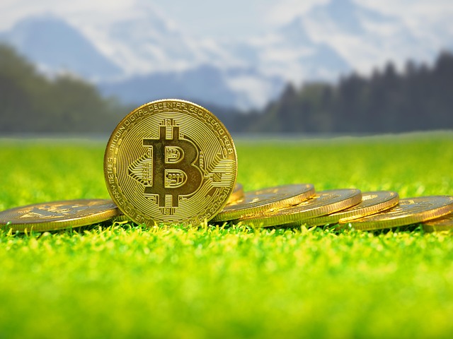 BTCS,이더리움,블록체인,배당금,비비덴드