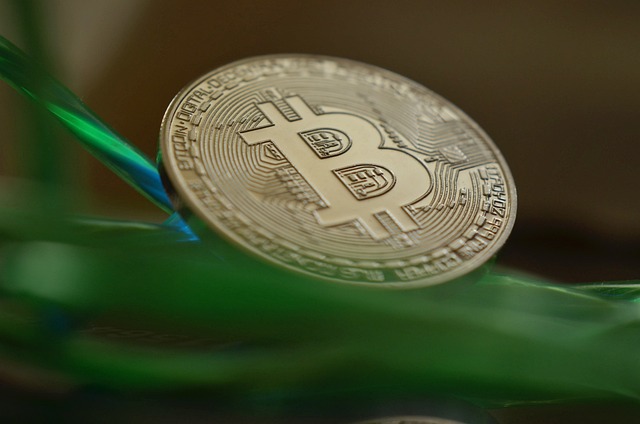 비트코인,XRP턄드라,프리세일,자산다각화,가격경로,투자안정성