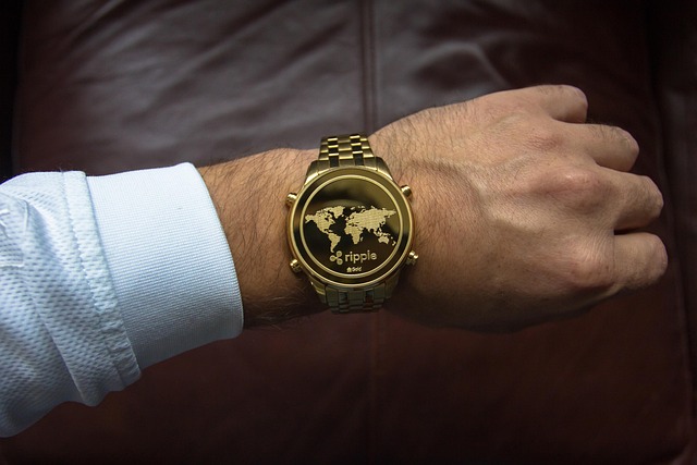 리플,팰리세이드,월렛서비스,기관보관도구,블록체인기술,암호화폐,기업,디지털자산