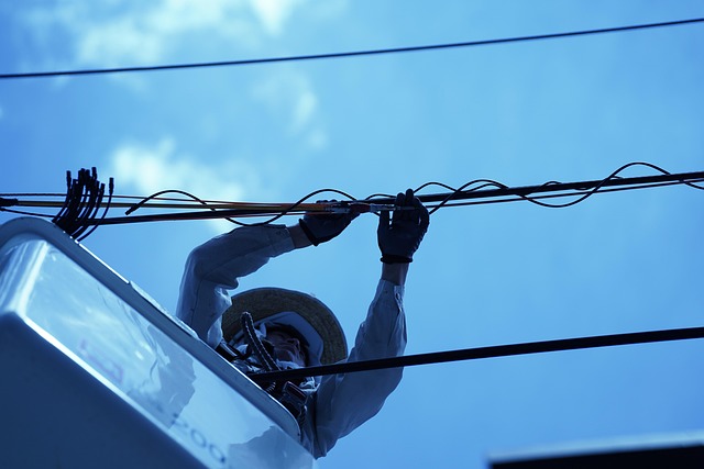 비트코인,암호화폐,100배레버리지,선물거래,벡스백