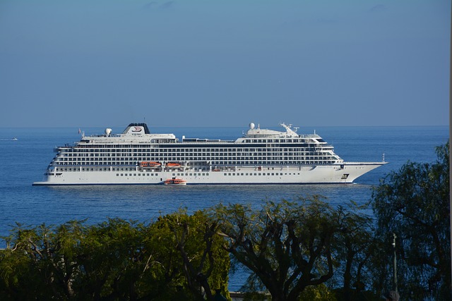 플라즈마,블록체인,확장성,스마트계약
