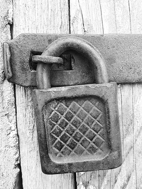 비트코인,무나리,암호화폐,블록체인,거시적변동성,디지털자산