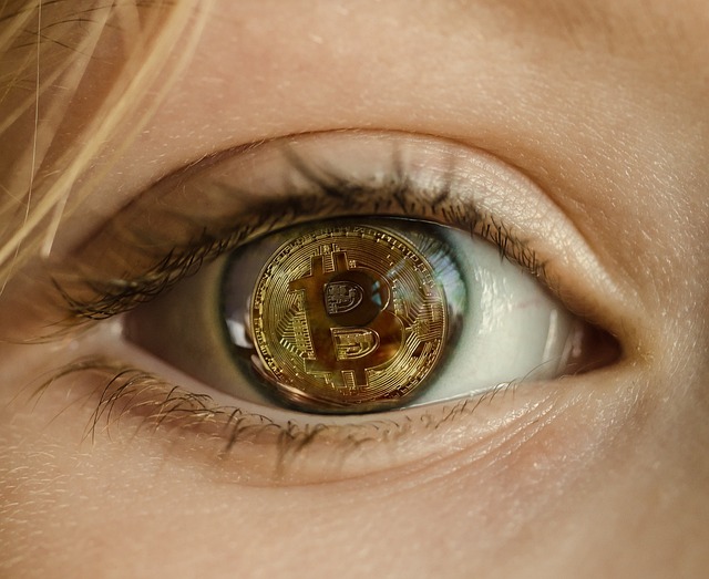 Regulatorypressures,Marketdynamics,Blockchaintechnology,Ethereum(ETH),Ripple(XRP),Litecoin(LTC),Cardano(ADA)