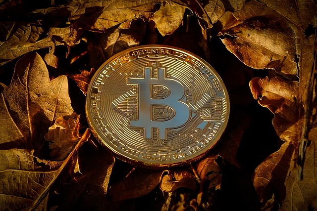 SecurityBreach,RiskManagement,DecentralizedFinance,SmartContracts,RegulatoryCompliance,InvestorSentiment,BlockchainEcosystem.