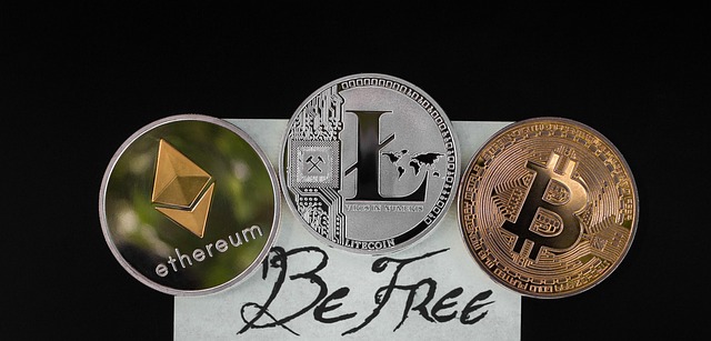 MarketDynamics,InvestorBehavior,EcosystemResilience,RiskManagement,DeFi,Liquidity,Compliance,SmartContracts