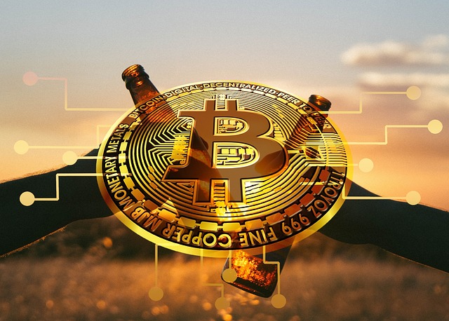 Cryptocurrency,DigitalAssets,RegulatoryFrameworks,PortfolioManagement,Liquidity,DeFi.