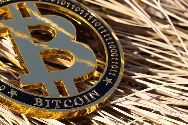 Bitcoin,ETF,Liquidity,RegulatoryCompliance,MarketPsychology,InvestorBehavior