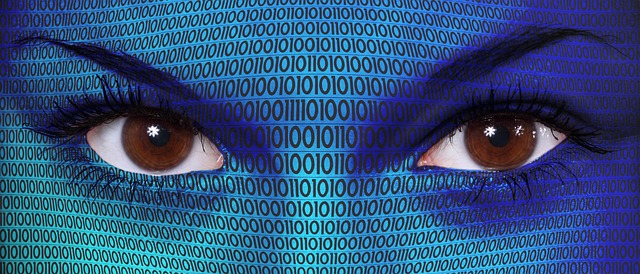 Security,HomeInvasion,CryptoAssets,RiskManagement,Compliance,FraudPrevention.