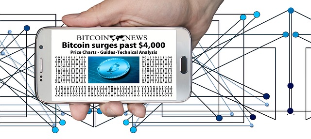 RegulatoryCompliance,Fraud,InvestorBehavior,MiCA,DecentralizedFinance,TrustDynamics.